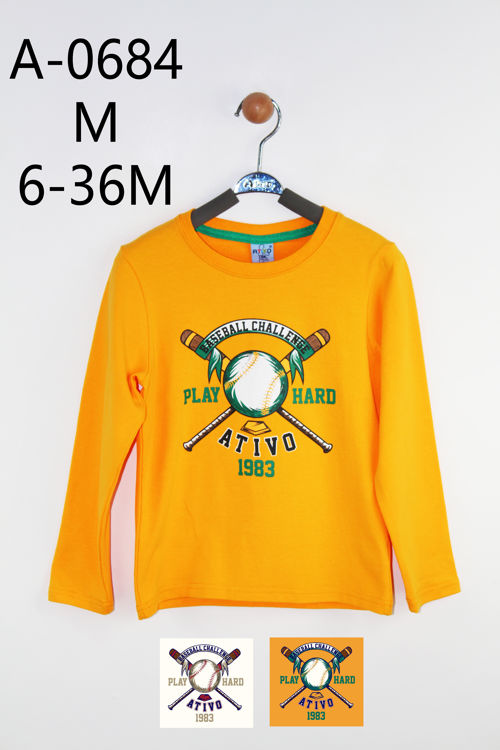 Picture of A0684- THERMAL FLEECY HIGH QUALITY COTTON BOYS TOP